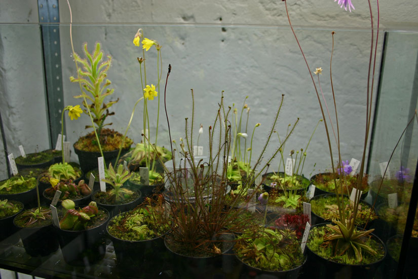 P_6727.jpg