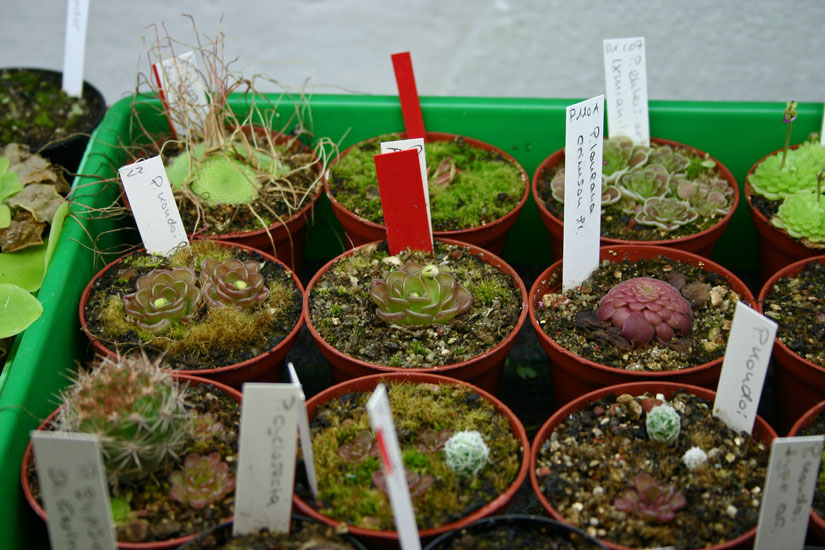 P_6744.jpg