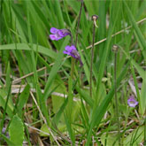 Gailbergsattel, 1000 Meter